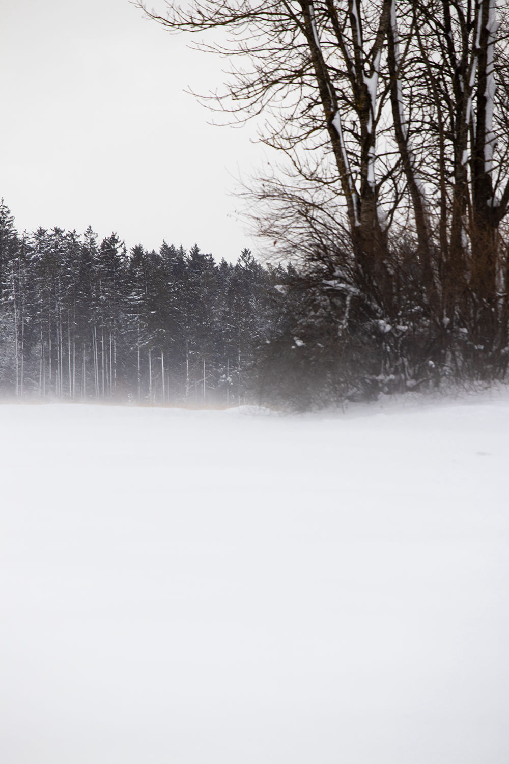 Nebel im Winter Höhenkirchen-Siegertsbrunn