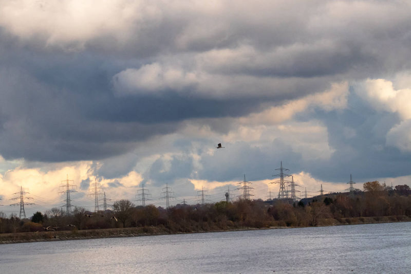 Reiher fliegt über den Speichersee, im Hintergrund sieht man die Anlage des Freileitungsmast und einen blauen wolkigen Himmel und einer Baumlandschaft entlang des Wassers