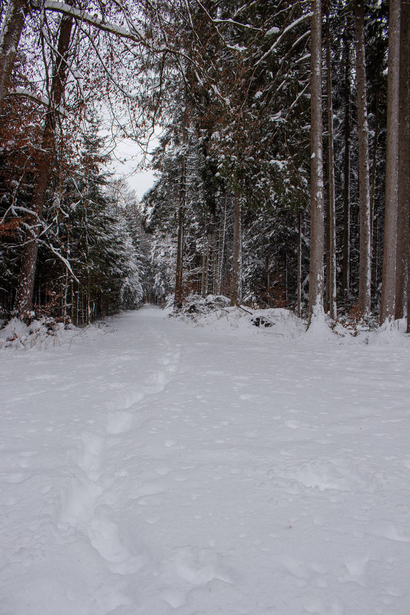 Eigener Pfad im Winter in Höhenkirchen-Siegertsbrunn